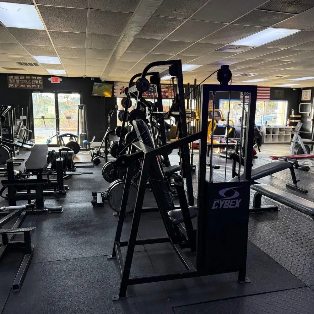 Cybex plate-loaded machines